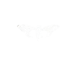 Cicada Logo